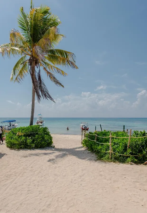 Rioja Playacar By Chezplaya Daire Playa del Carmen